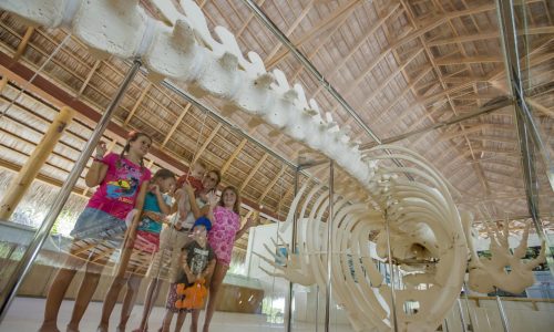 eco-centre
